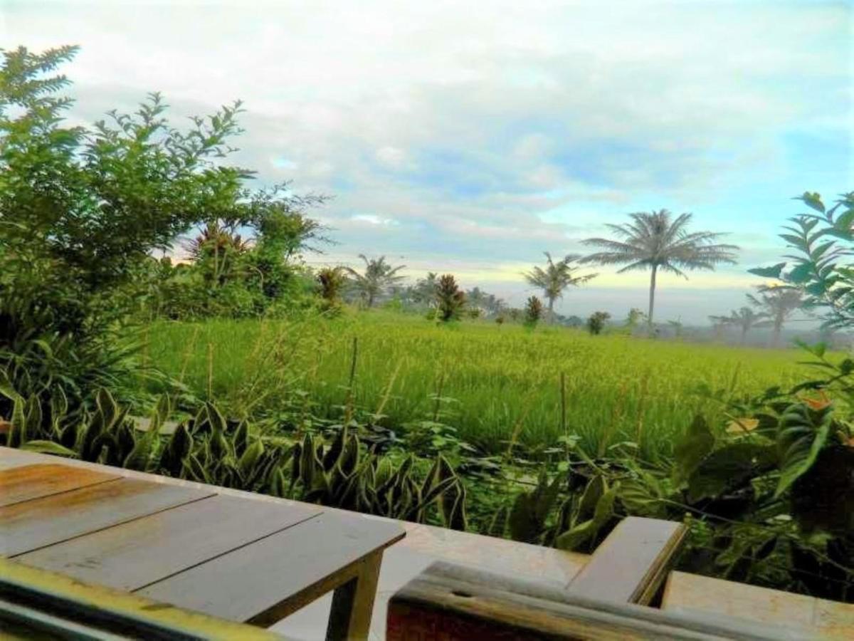 Fida Ijen Crater Guesthouse Licin Luaran gambar